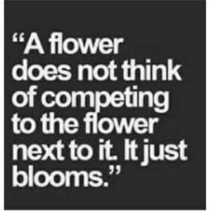 Meet your Posher, Baibphat21